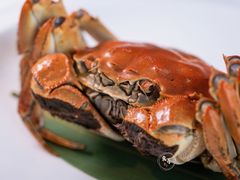-王府井文华东方酒店-紫膳餐厅