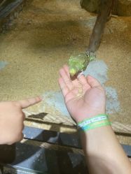 -酷嗒动物文化乐园(cutezoo西溪乐天城店)