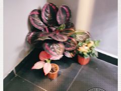 -聚点滑板SPOT SKATE(常熟路店)
