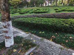 -重庆彩云湖湿地公园