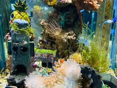 -太平洋海底世界