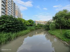 -上海中医药大学附属曙光医院(东部)
