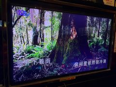 -欢乐驿站量贩式KTV(西丽店)