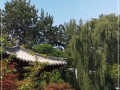 -莲花池公园