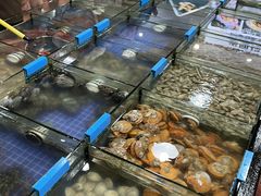 -明记海鲜大排档(巽寮湾店)