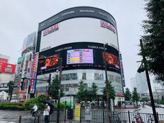 -学习谷日语培训日本留学·多语种外语教学(西单宣武分部)