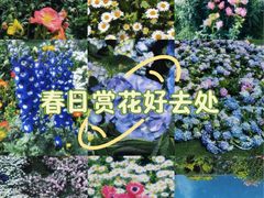 -首开·龙湖成都西宸天街