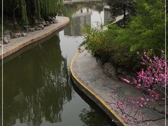 -团结湖公园