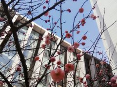 -无锡市市民中心