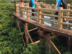 -东寨港红树林旅游区