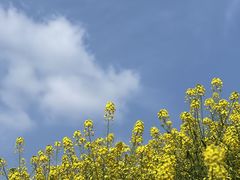 -白鹭湾湿地公园
