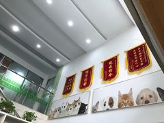 -爱侣宠医·鹦鹉专科·小型哺乳类·异宠专科(灵石路店)