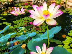 -国家植物园南园