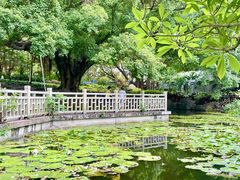 -晓港公园