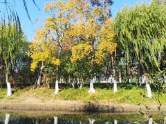 -嘉北郊野公园