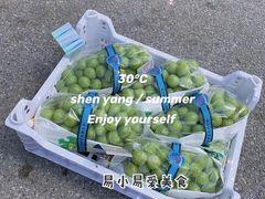 -沈阳市八家子水果批发市场