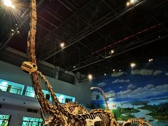 -自贡恐龙博物馆