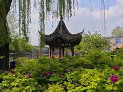 -荣国府