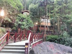 -宁海森林温泉