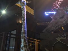 -清迈夜间动物园