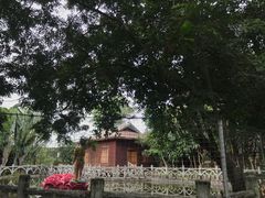 -瑞丽独树成林风景区