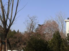 -北京石刻艺术博物馆(五塔寺)