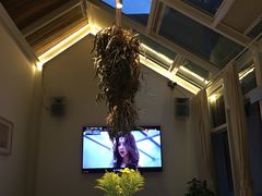 -春树下·树屋花房西餐厅(罍街AS1980店)