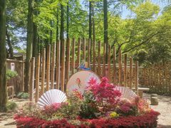 -上海醉白池公园