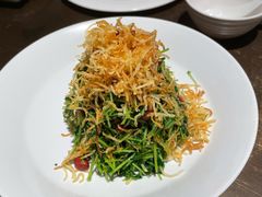 巧拌豆苗-四季民福烤鸭店(西单华威约饭街店)