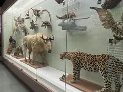 -国家自然博物馆