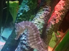 -沈阳海洋探索中心