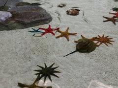 -福州罗源湾海洋世界旅游区