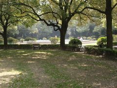 -上海交通大学医学院附属瑞金医院(总院)