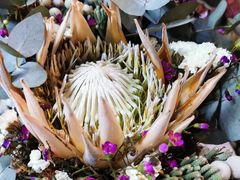 -三圣花乡旅游区