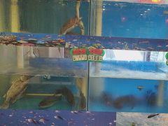 -老浒记民俗酒楼(王府井店)