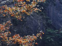 -鸡枕山