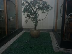 -杜家小馆(裕华路店)