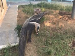 -无锡动物园·太湖欢乐园