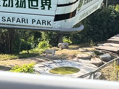 -广州长隆野生动物世界