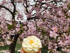 -派悦坊·甜品·蛋糕(虹口龙之梦店)