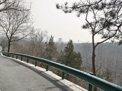 -白水寺森林公园