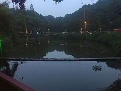 -南京国际会议大酒店