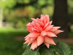 -天坛公园
