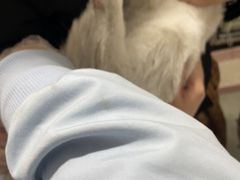 -四月宠物医院·猫专科·心脏专科·内科(转塘店)