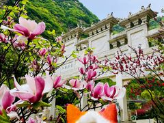 -华山风景名胜区