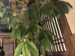 -贡宴盐帮菜自贡驻京联络处餐厅