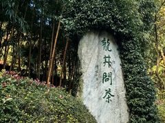 -阿巧茶庄