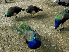 -水上乐园·欢乐世界