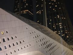 -南京国际青年文化中心