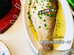 招牌清蒸钱塘江白条-柳莺湖上·湖景餐厅·江南菜(西湖店)